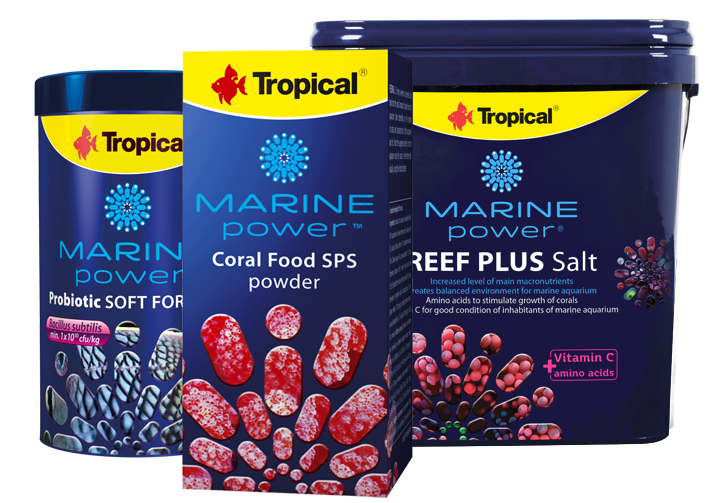 Marine Power Products